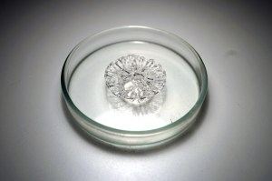 C lab 2.0&nbsp;Sense+-