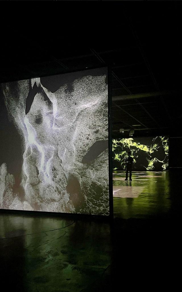 이주하는 인간_호모 미그라티오, HOMO&nbsp;Migratio