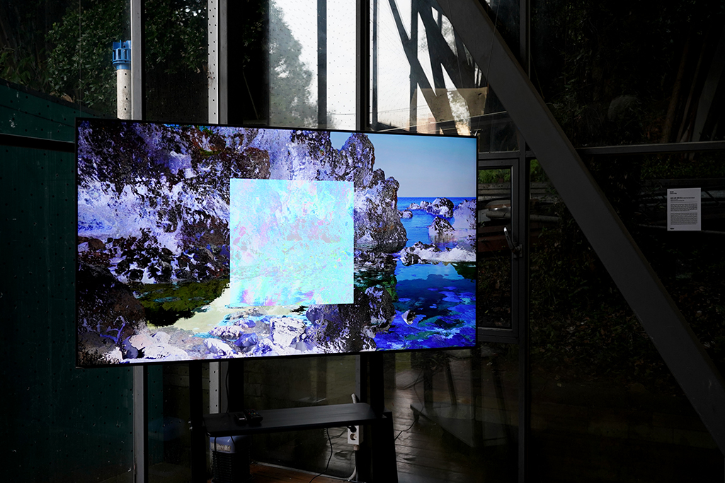 증인으로서의 자연, Nature as&nbsp;Witness