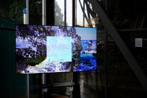 증인으로서의 자연, Nature as&nbsp;Witness