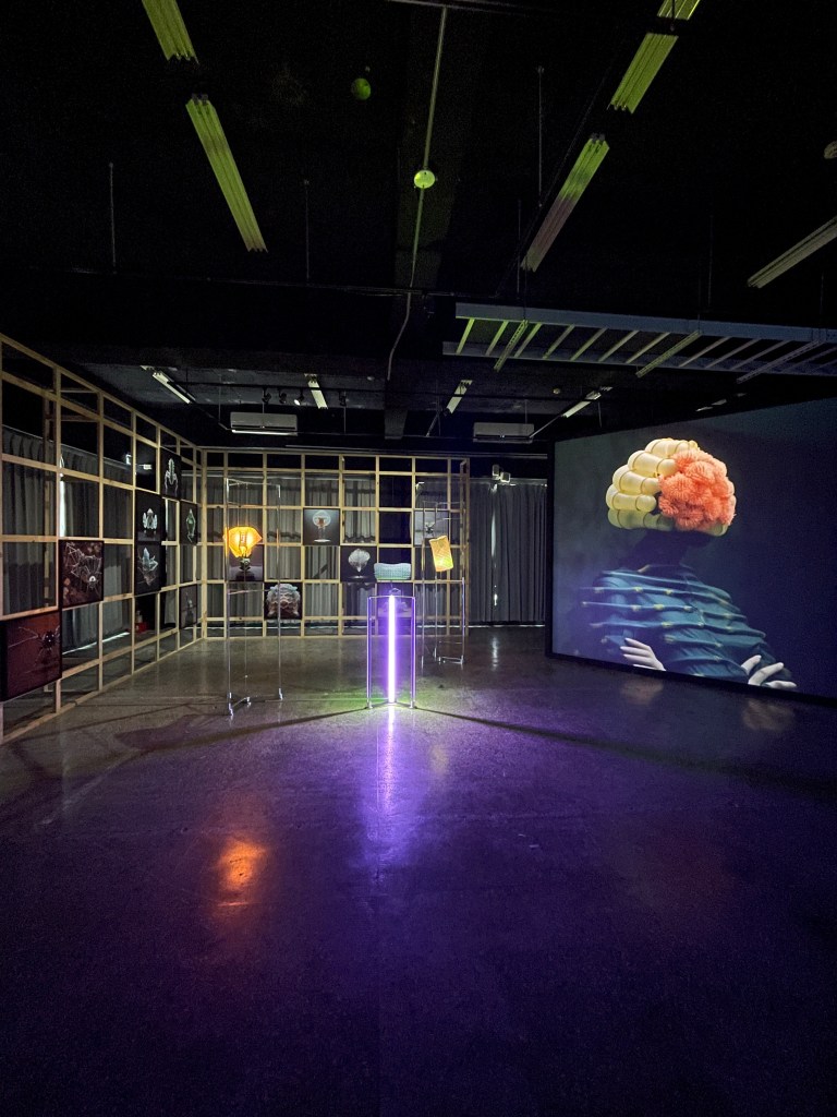 2024 Future media fest-singularity