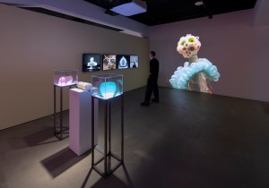 Andere Intelligenzen